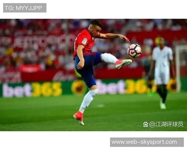 拜仁慕尼黑对阵不来梅比赛前瞻与战术分析探讨