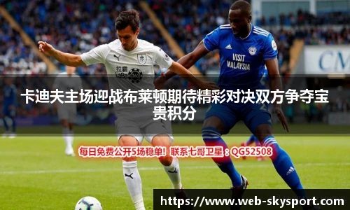卡迪夫主场迎战布莱顿期待精彩对决双方争夺宝贵积分
